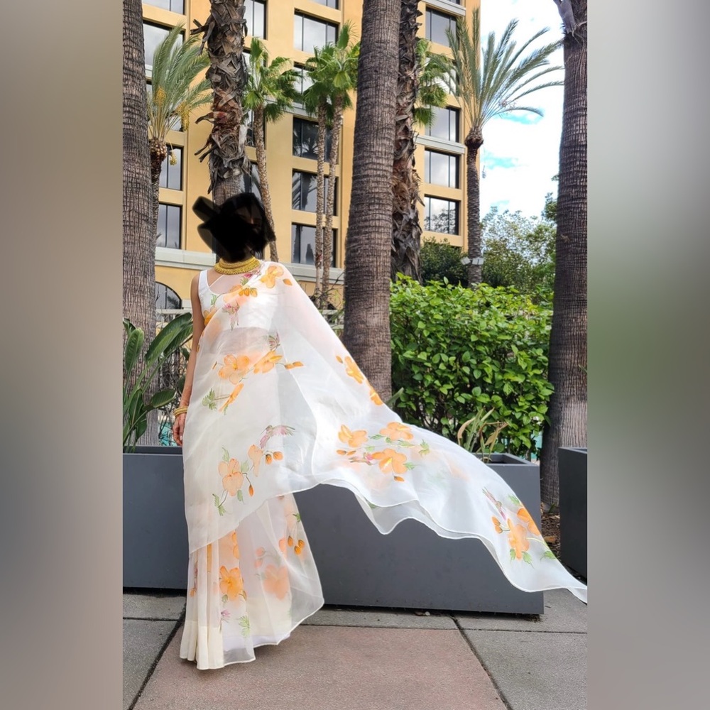 Picchika hand-painted organza sari